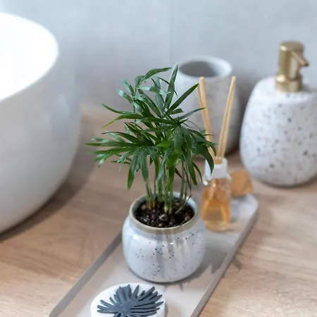 Vila Midnight Cerkvenjak