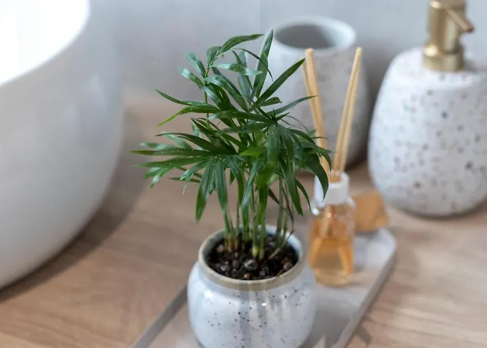 ヴィラ Midnight Cerkvenjak